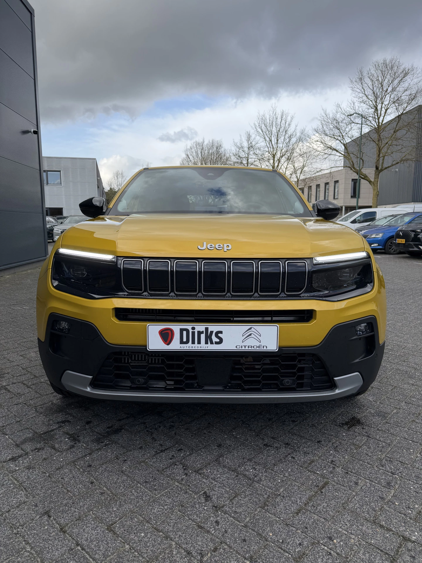 Hoofdafbeelding Jeep Avenger