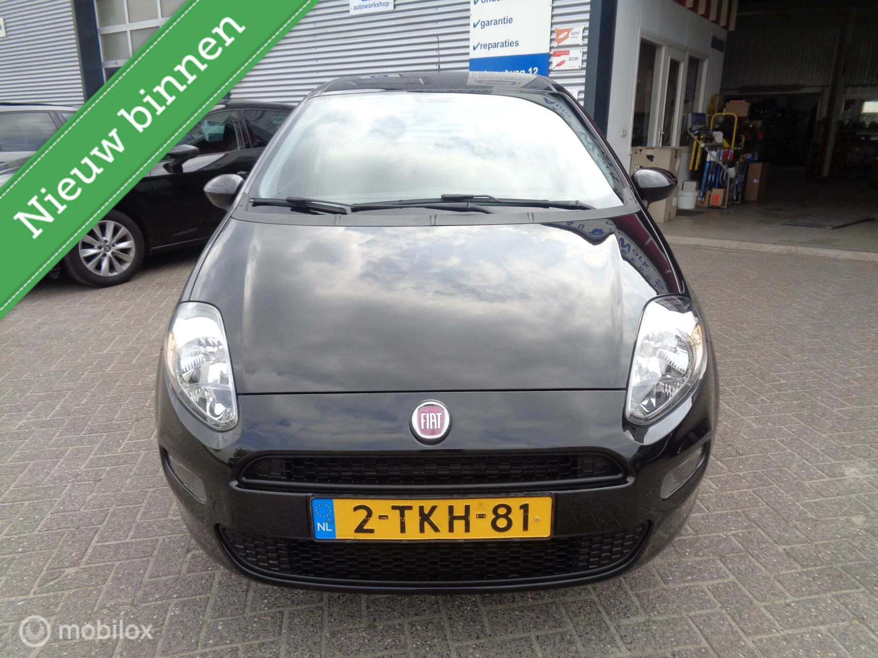 Hoofdafbeelding Fiat Punto