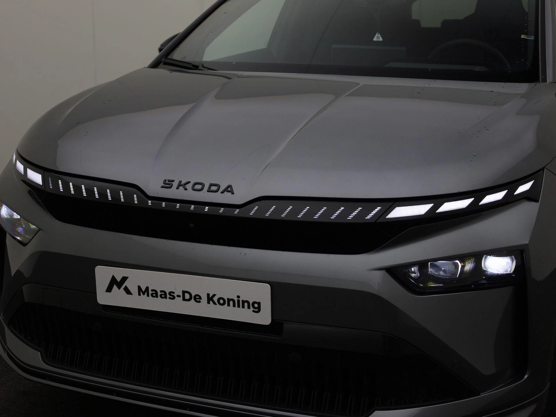 Hoofdafbeelding Škoda Enyaq iV