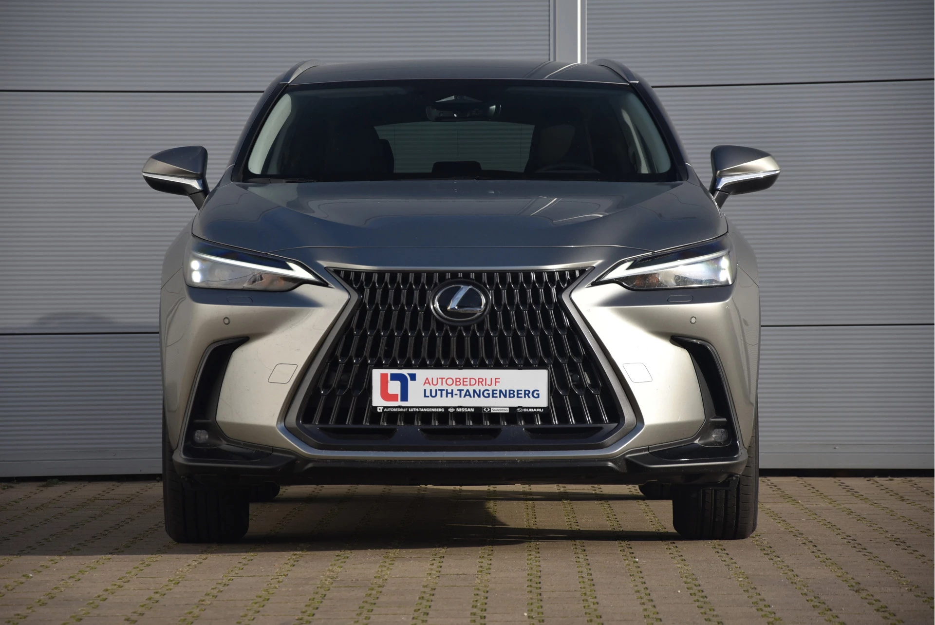 Hoofdafbeelding Lexus NX