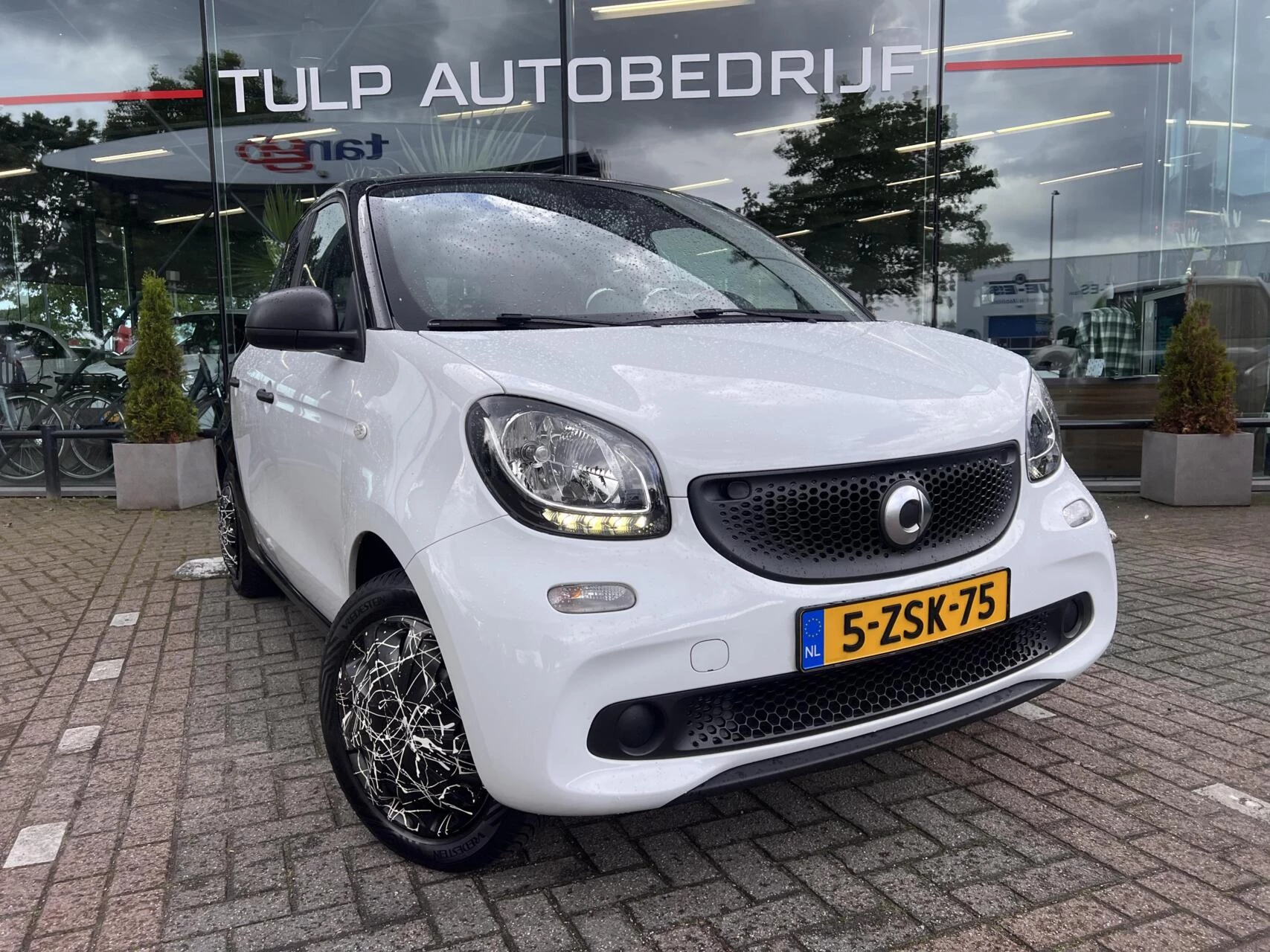Hoofdafbeelding smart Forfour