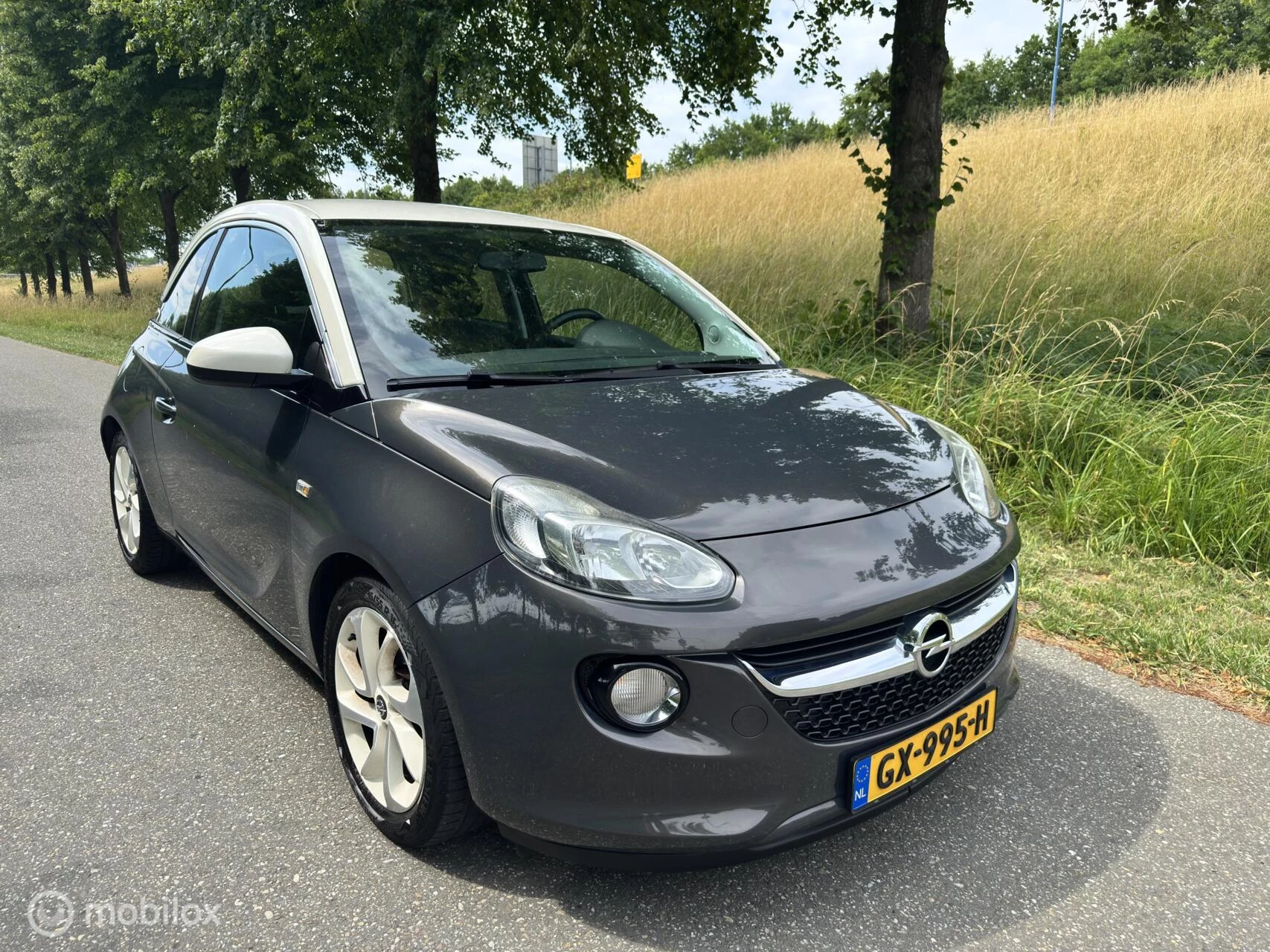 Hoofdafbeelding Opel ADAM