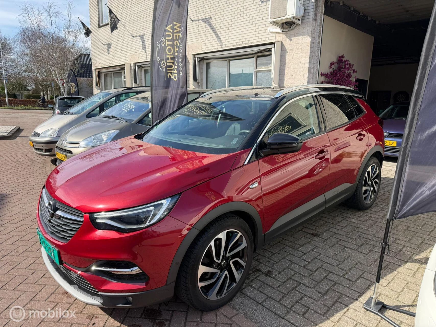 Hoofdafbeelding Opel Grandland X