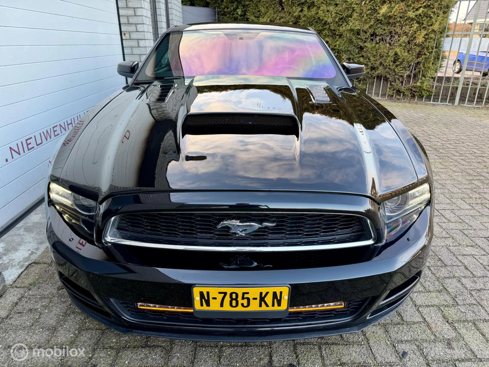 Hoofdafbeelding Ford Mustang