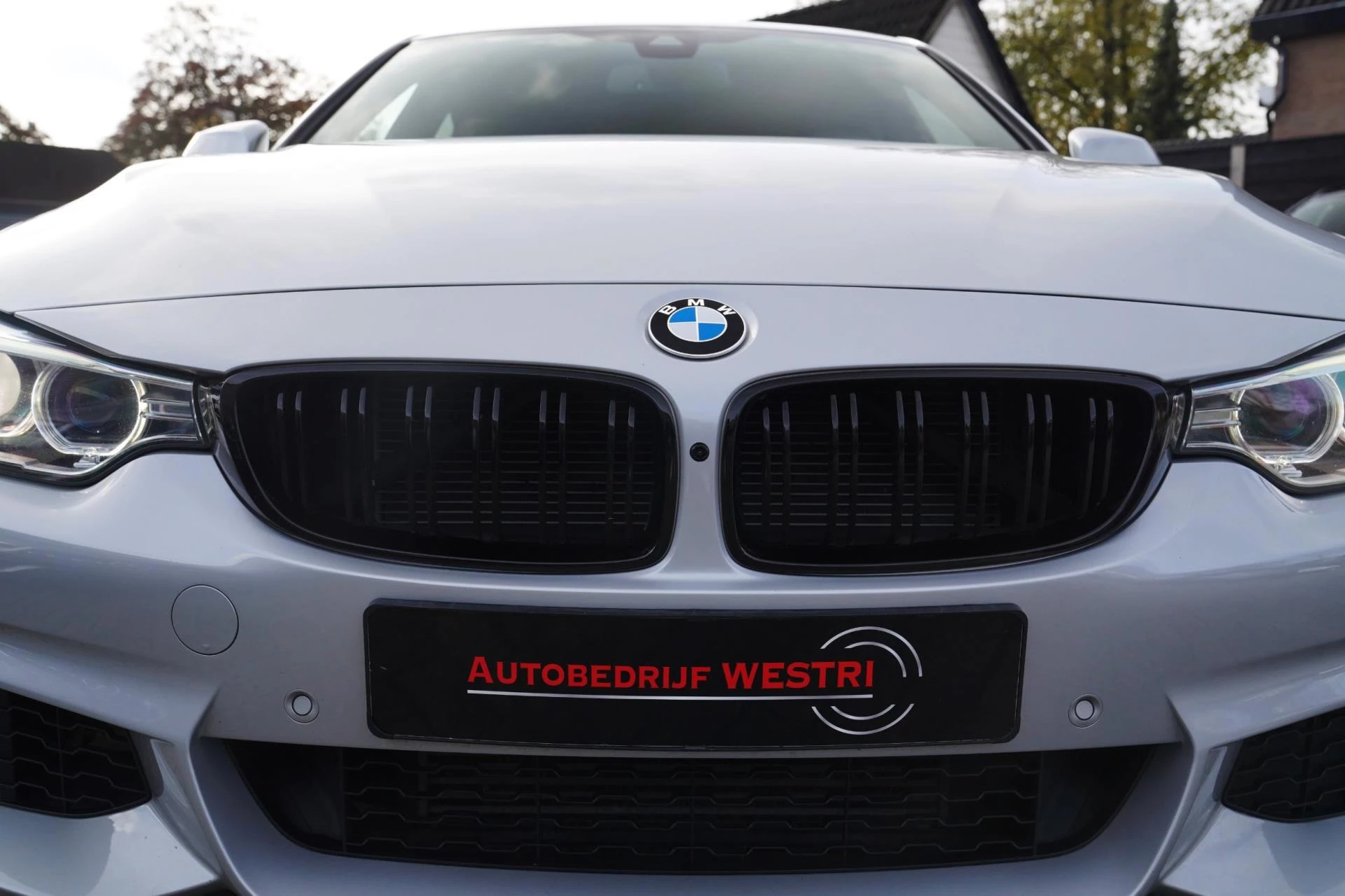 Hoofdafbeelding BMW 4 Serie