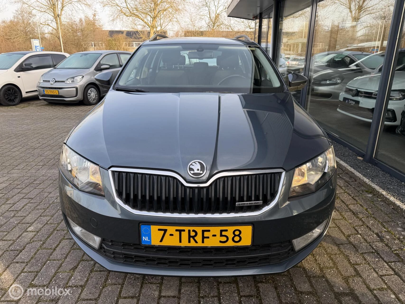 Hoofdafbeelding Škoda Octavia