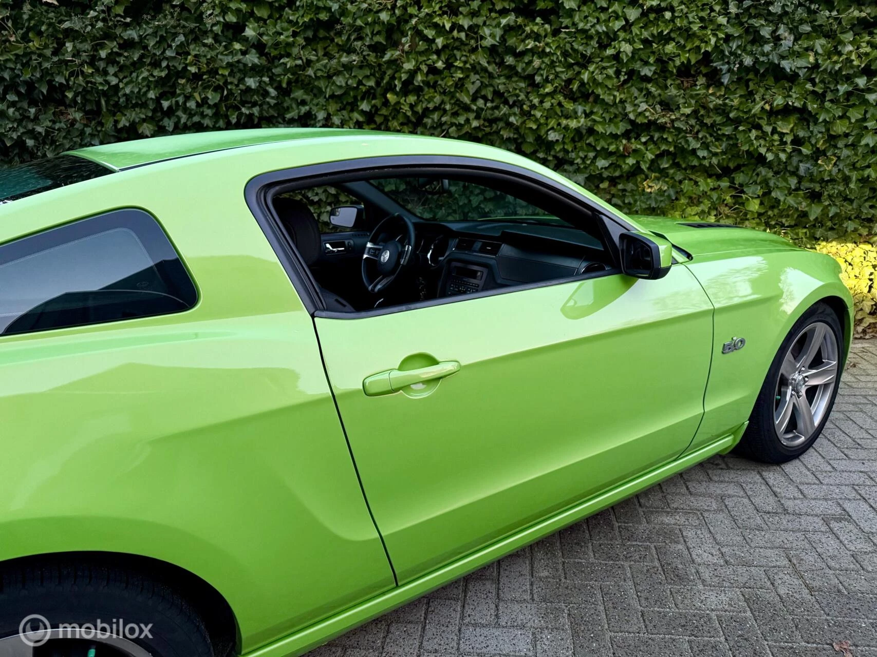 Hoofdafbeelding Ford Mustang