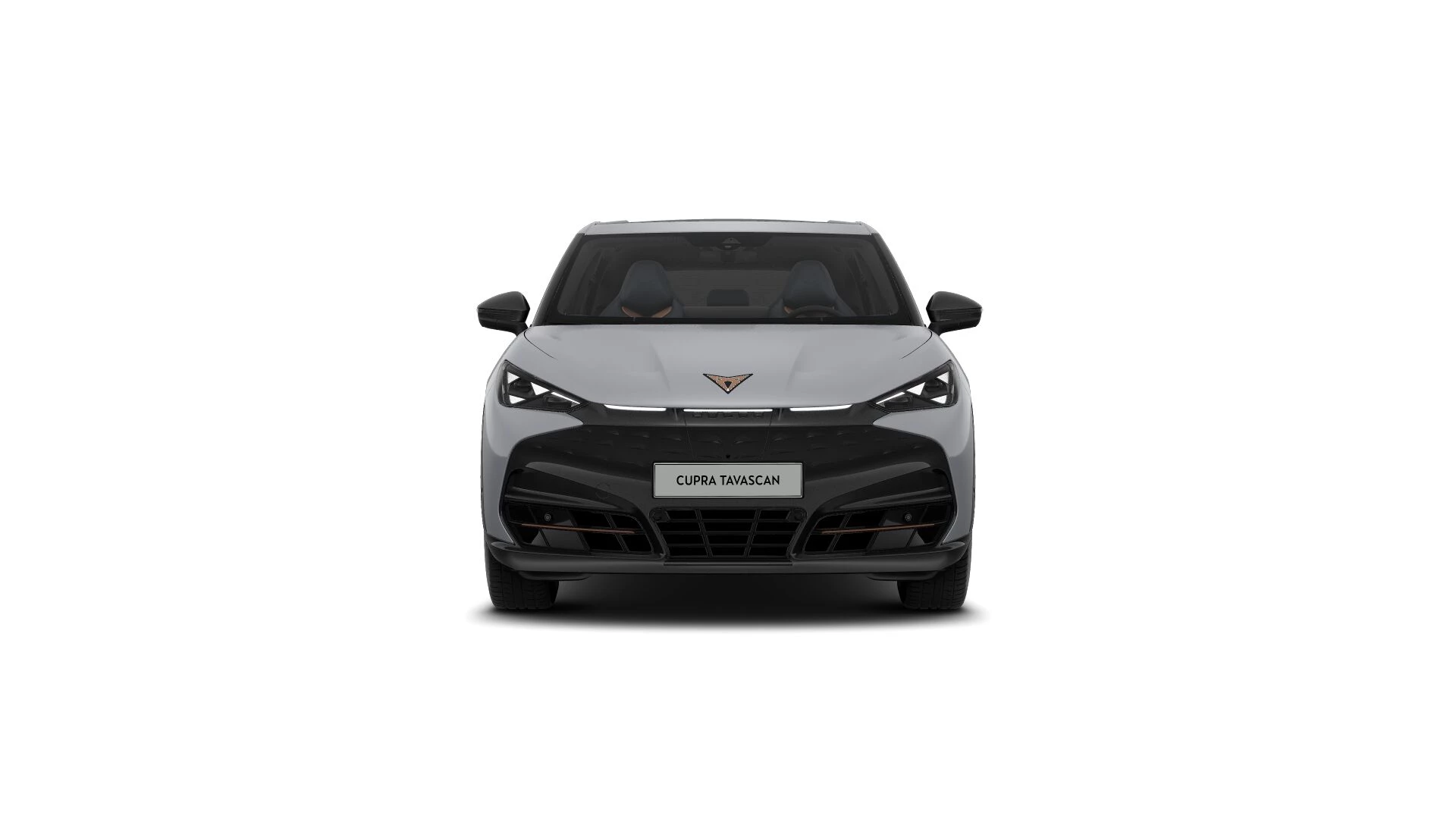 Hoofdafbeelding CUPRA Tavascan