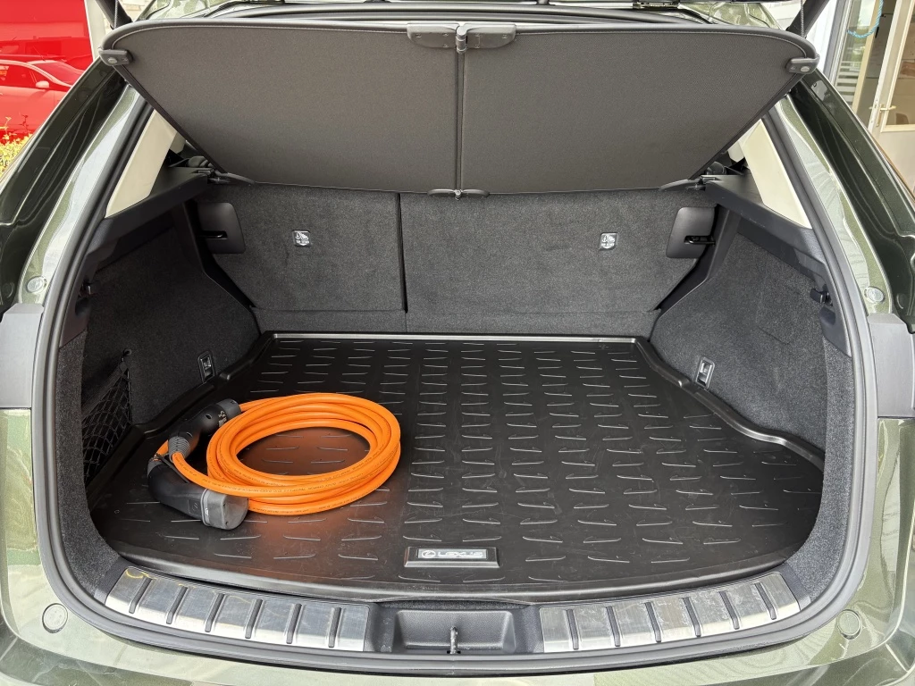 Hoofdafbeelding Lexus NX