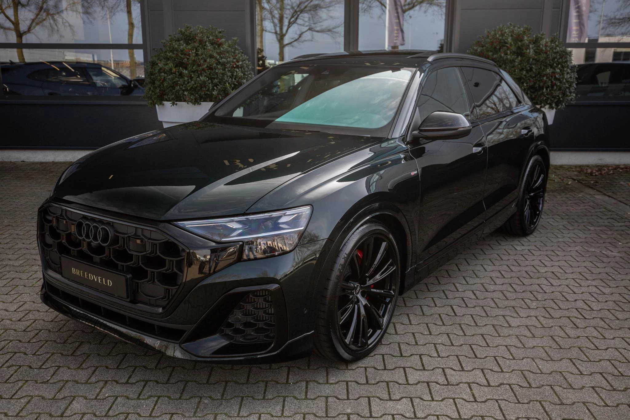 Hoofdafbeelding Audi Q8