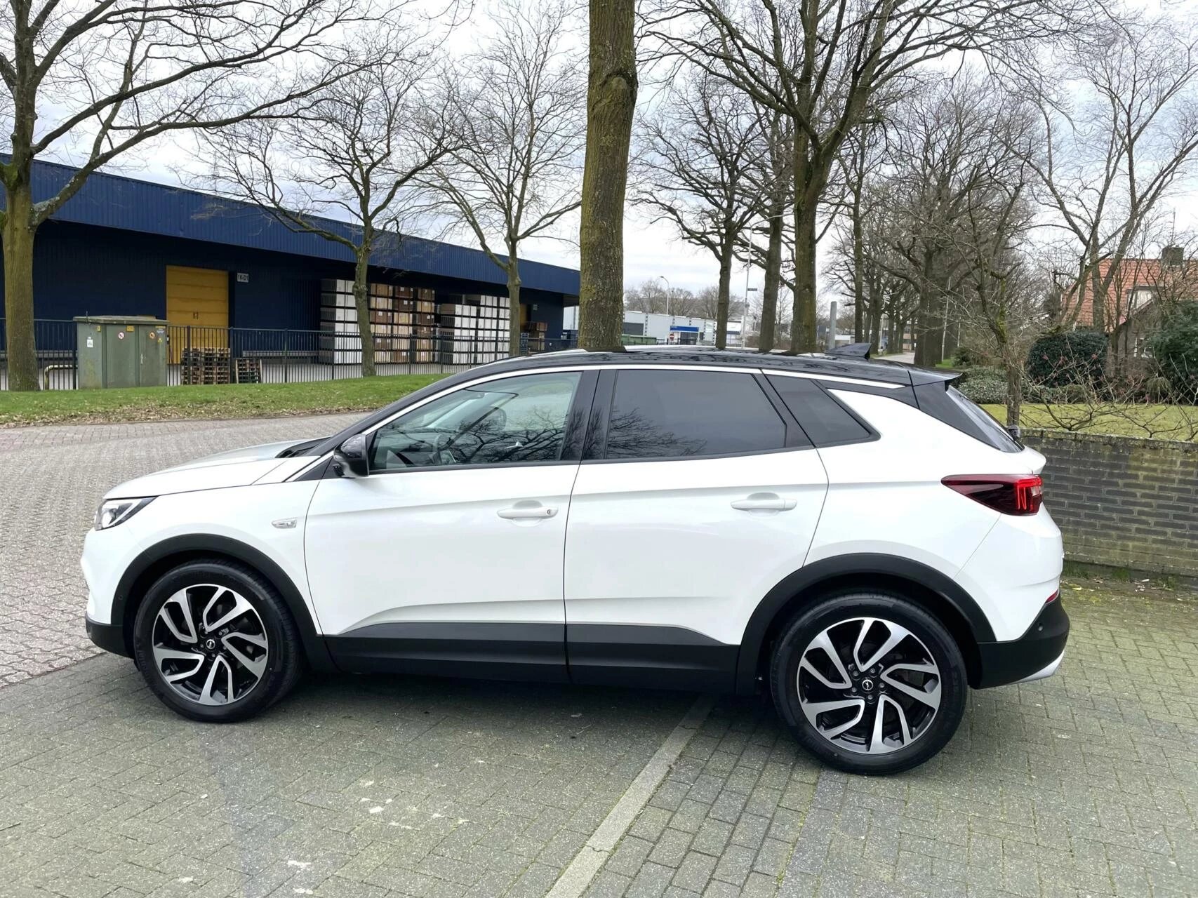 Hoofdafbeelding Opel Grandland X