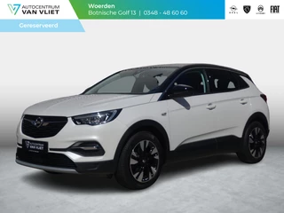 Opel Grandland X 1.2 Turbo Business Executive Trekhaak
