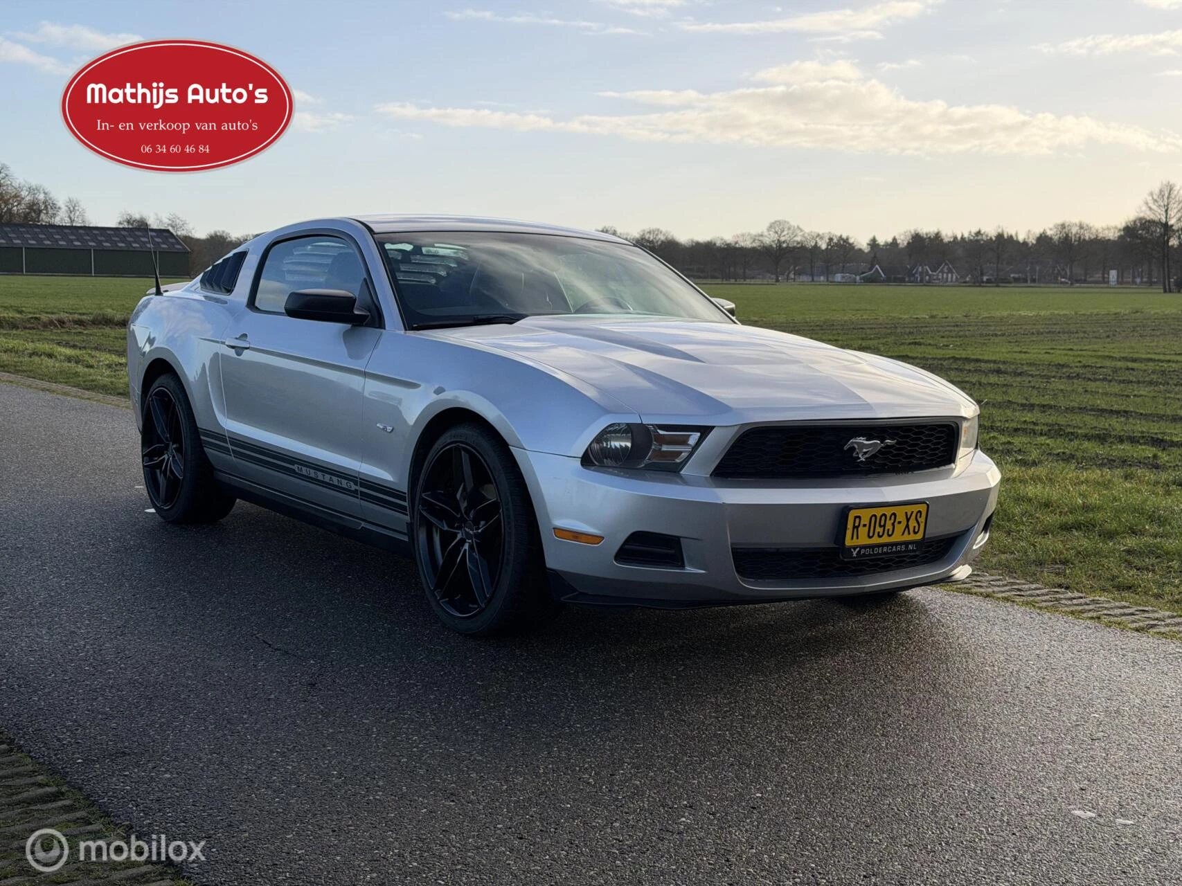 Hoofdafbeelding Ford Mustang