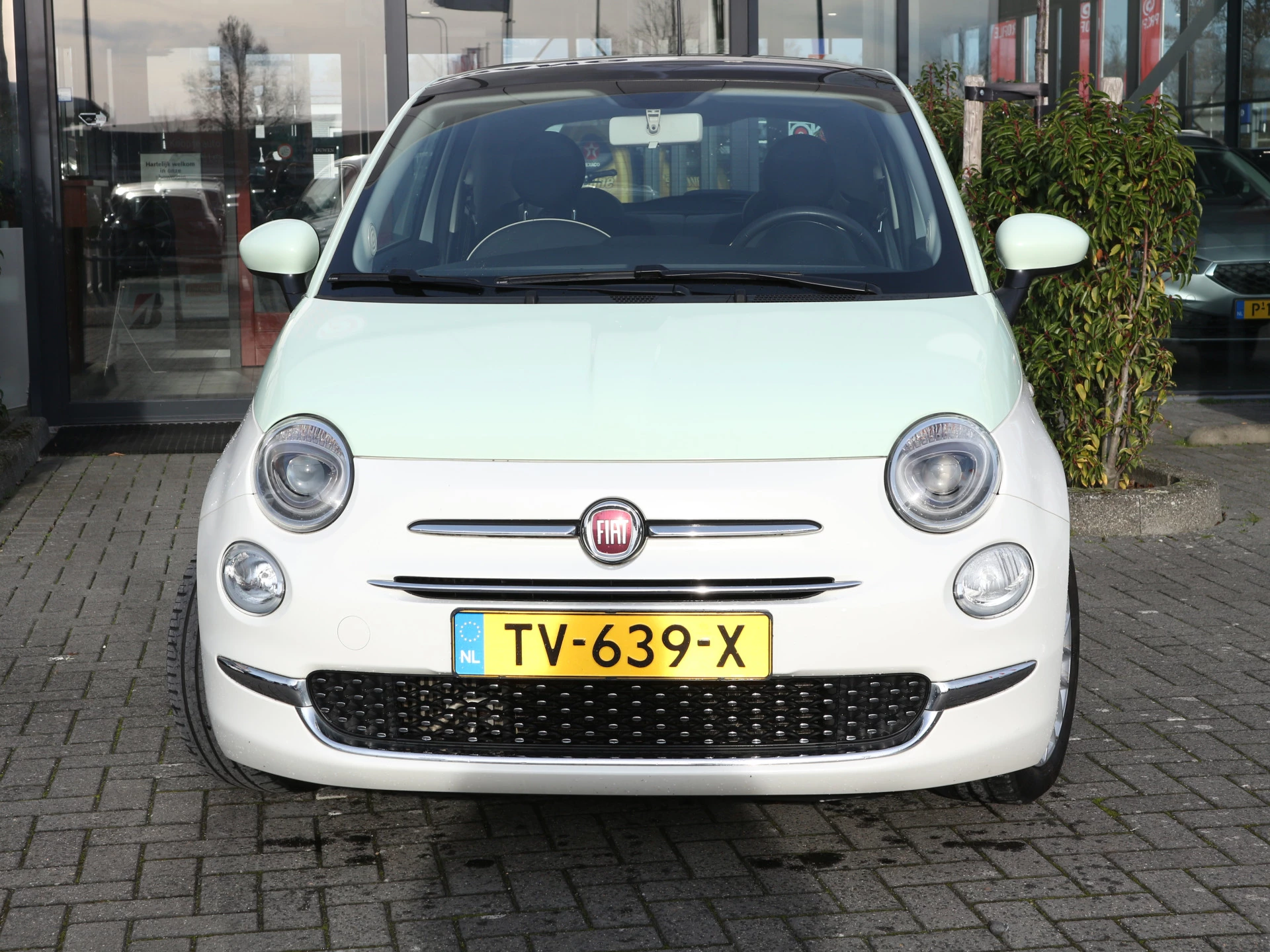 Hoofdafbeelding Fiat 500