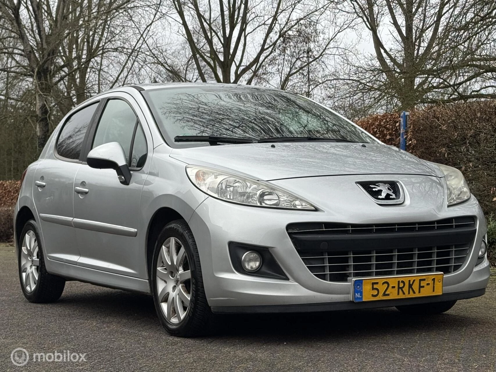 Hoofdafbeelding Peugeot 207