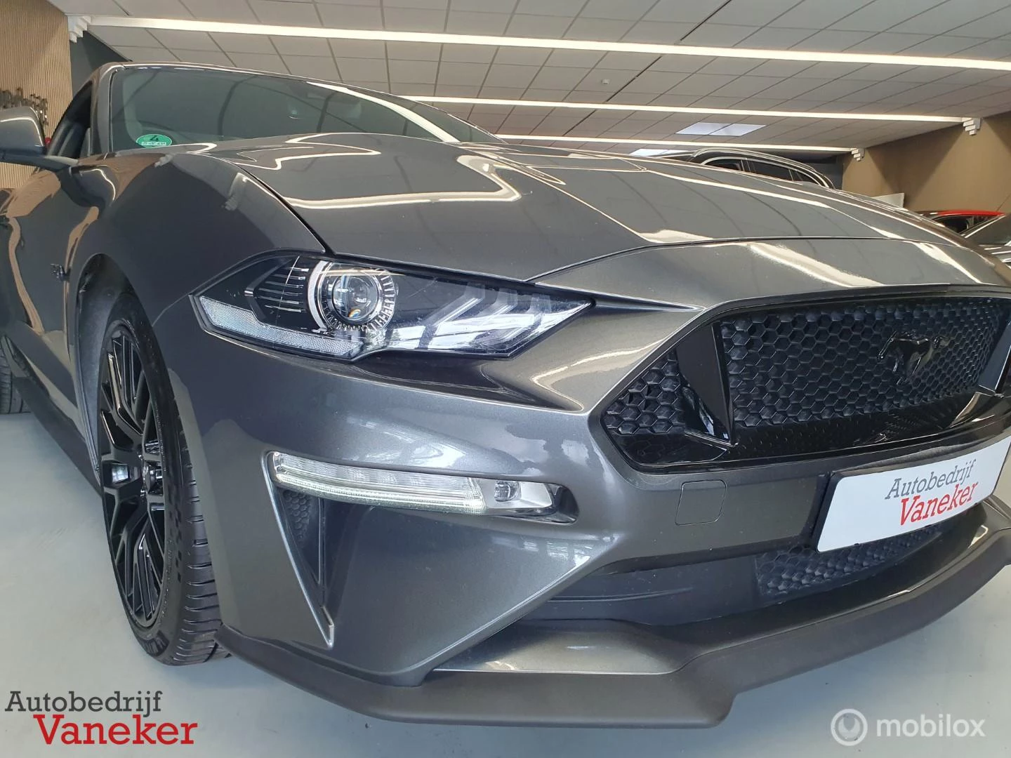 Hoofdafbeelding Ford Mustang