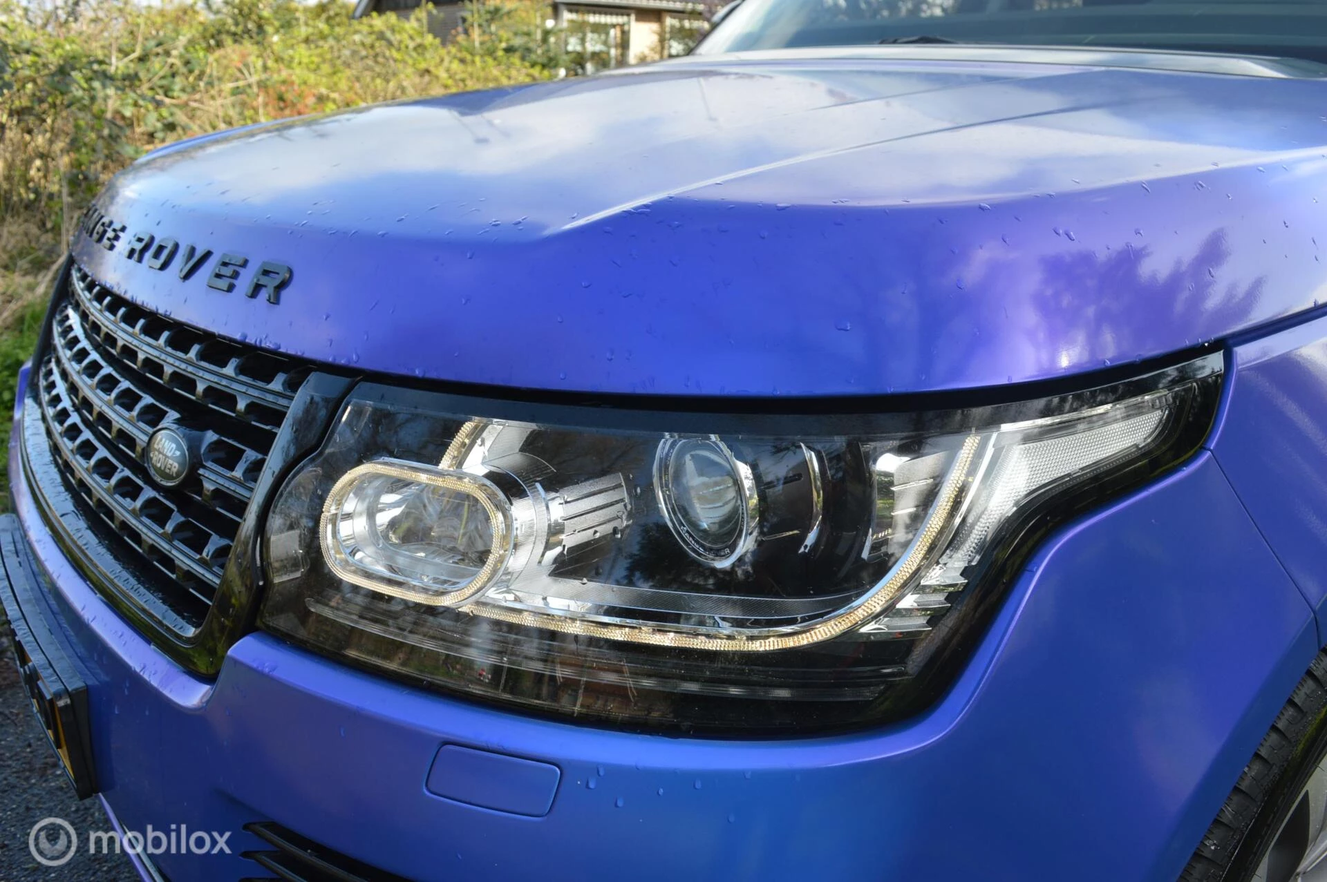 Hoofdafbeelding Land Rover Range Rover