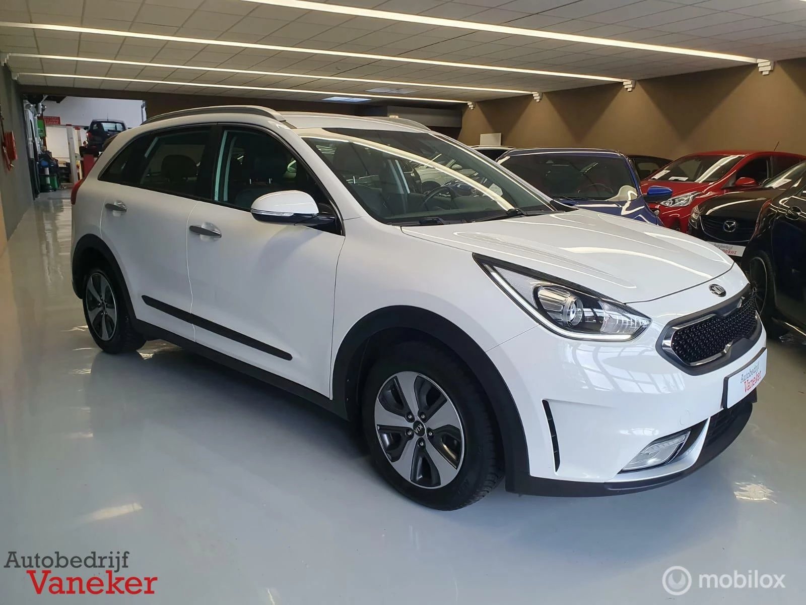 Hoofdafbeelding Kia Niro