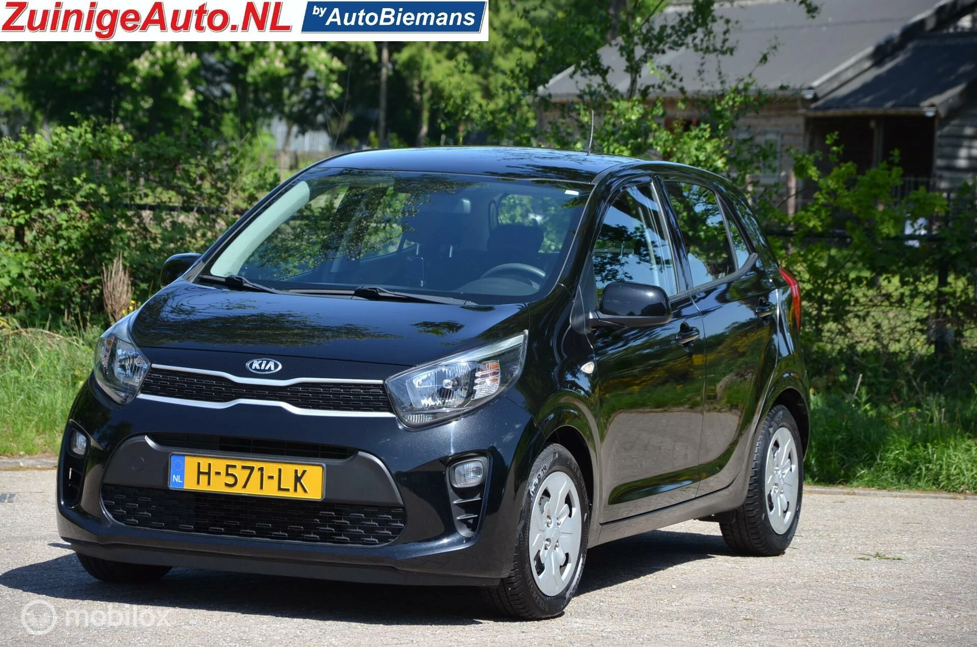 Hoofdafbeelding Kia Picanto
