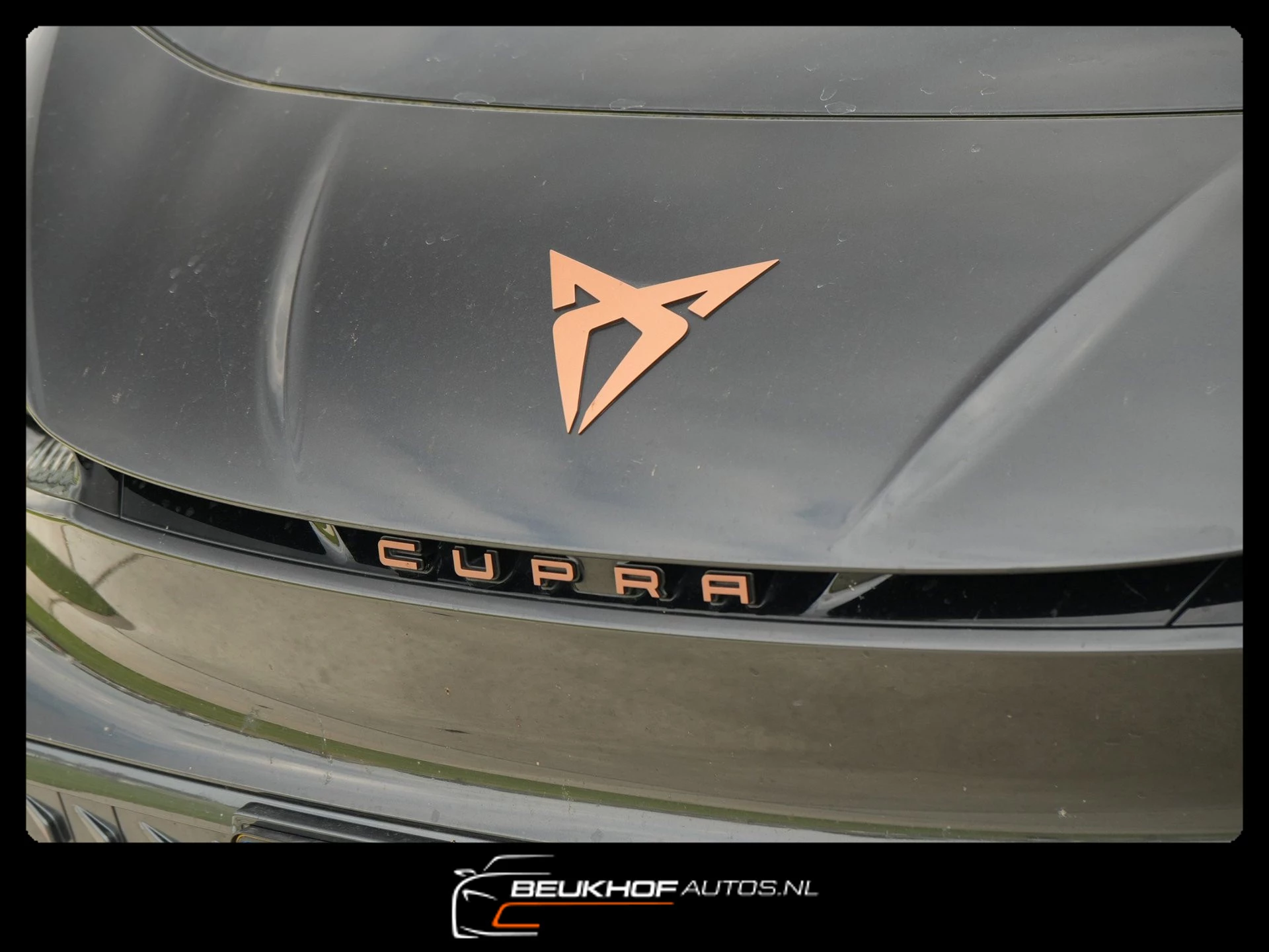 Hoofdafbeelding CUPRA Born