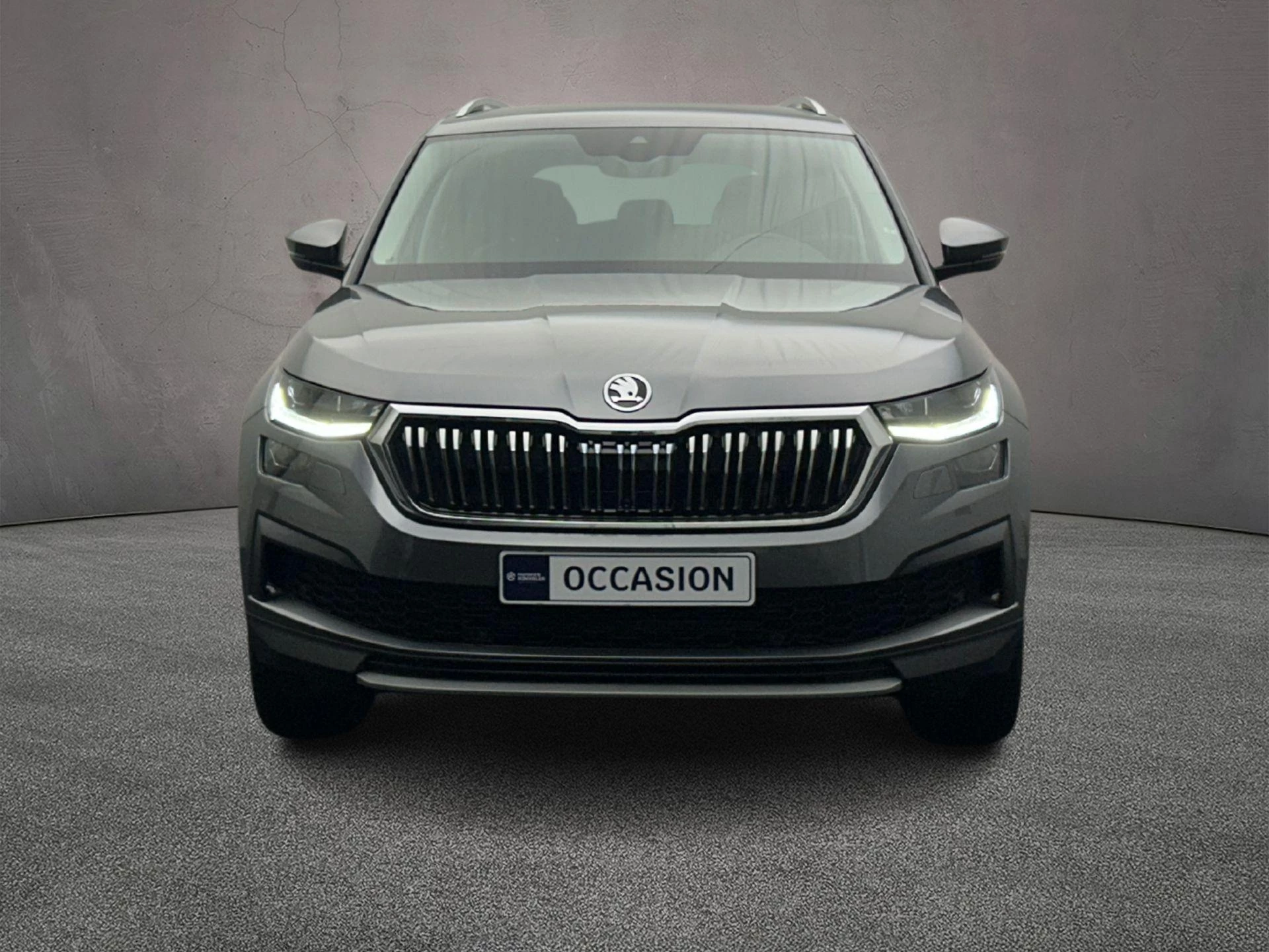 Hoofdafbeelding Škoda Kodiaq