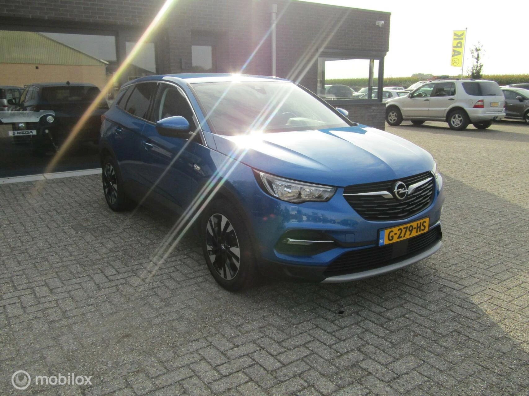 Hoofdafbeelding Opel Grandland X