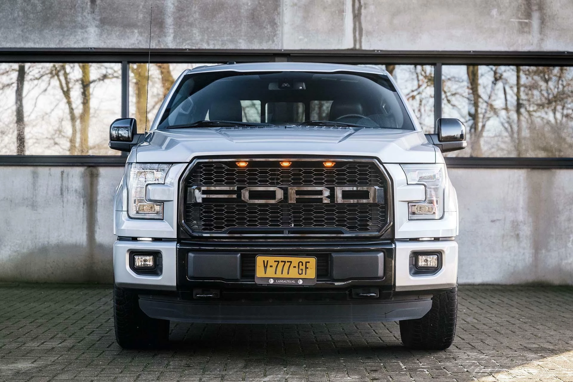 Hoofdafbeelding Ford F-150