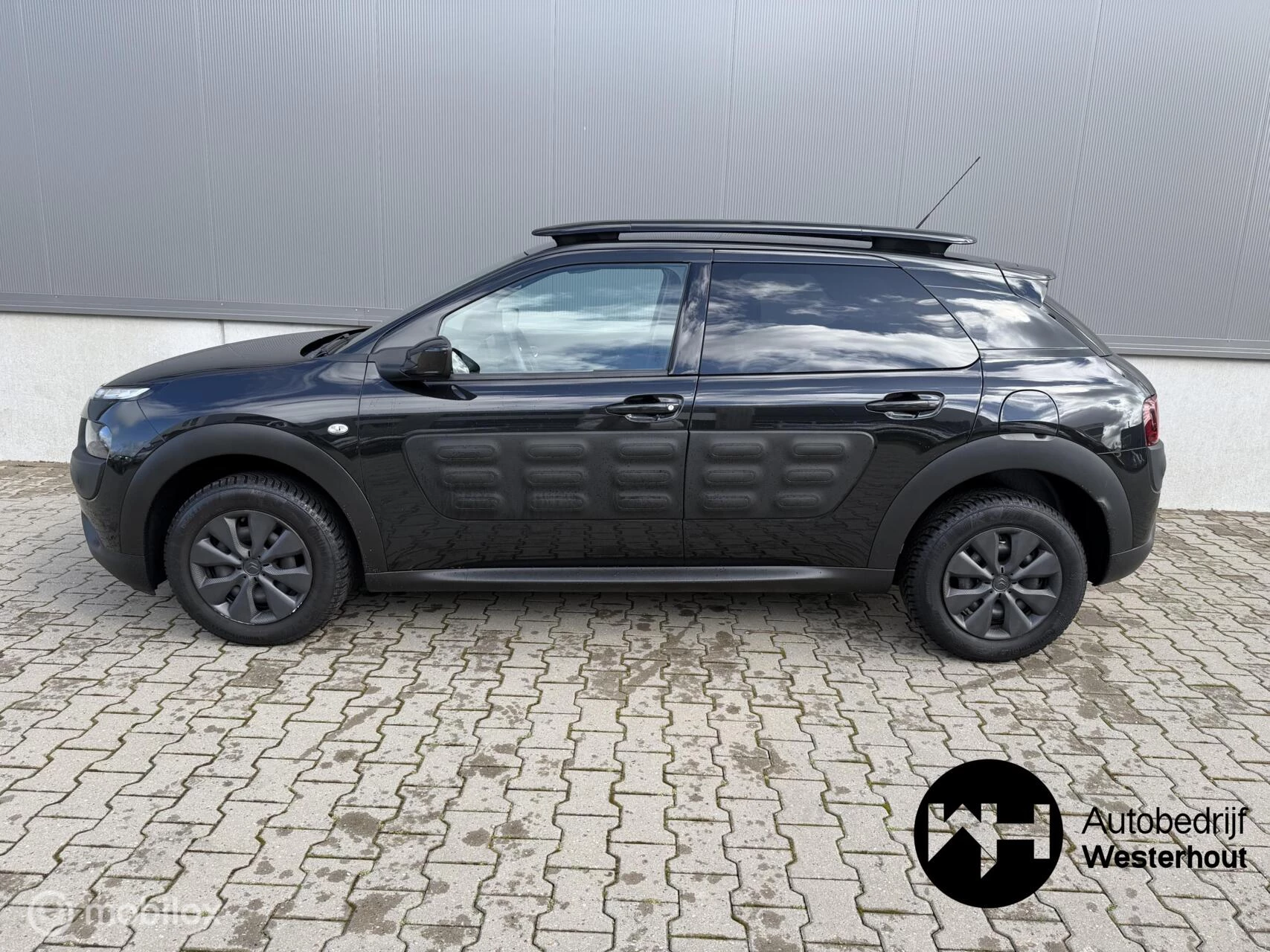 Hoofdafbeelding Citroën C4 Cactus
