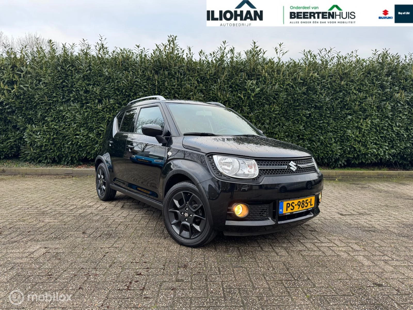 Hoofdafbeelding Suzuki Ignis