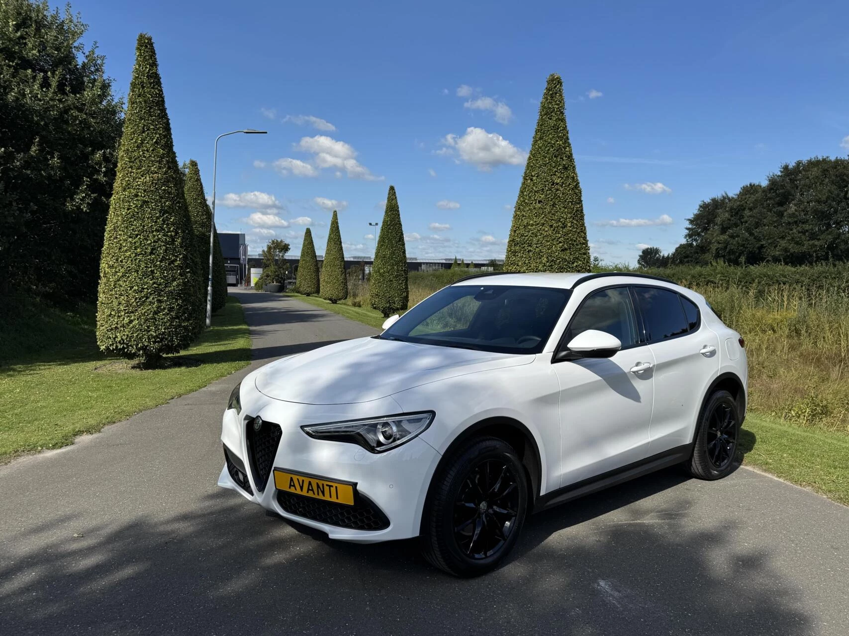 Hoofdafbeelding Alfa Romeo Stelvio