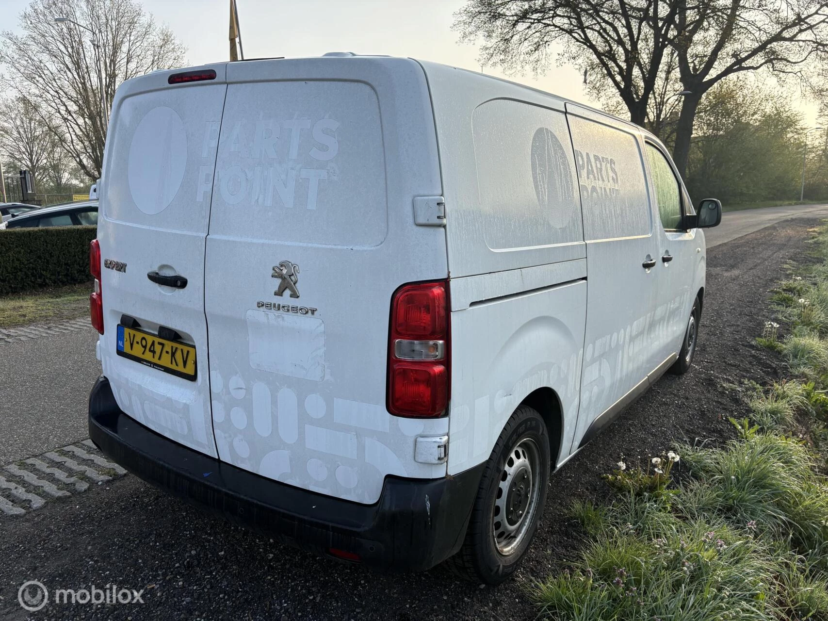 Hoofdafbeelding Peugeot Expert