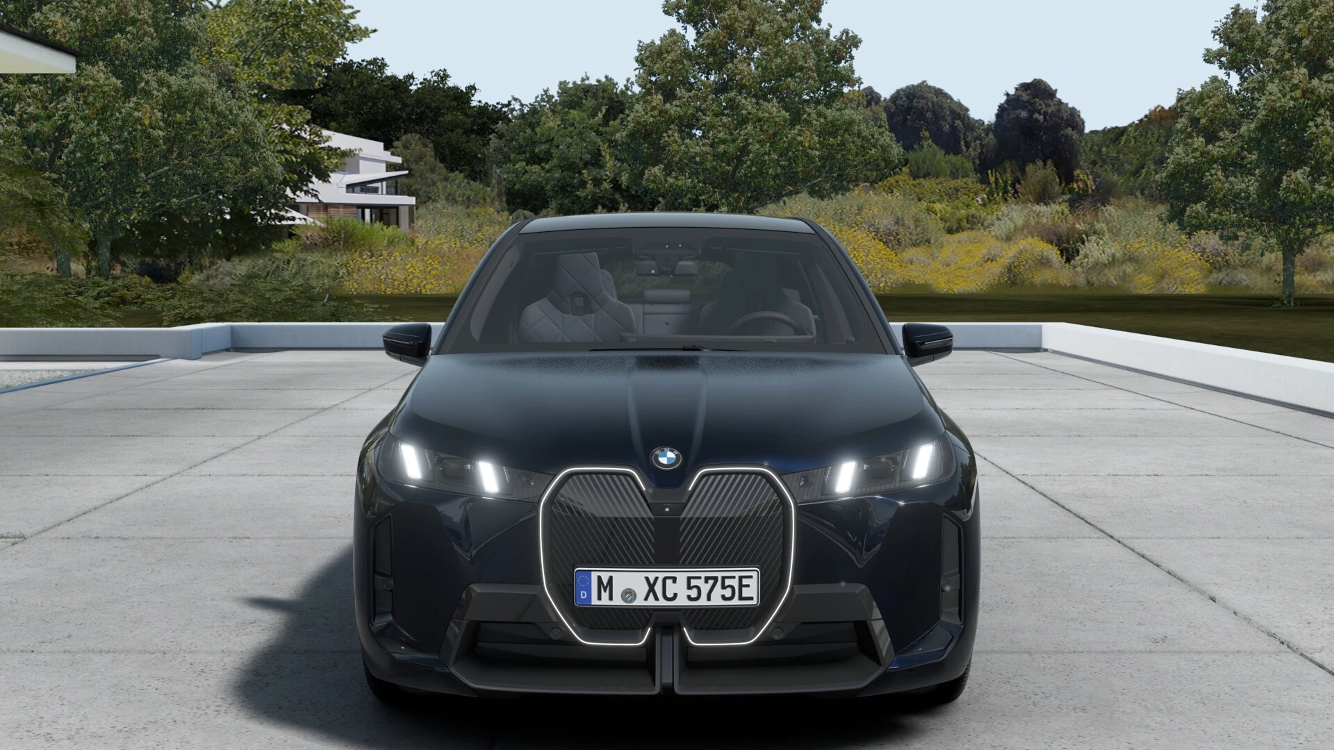 Hoofdafbeelding BMW iX