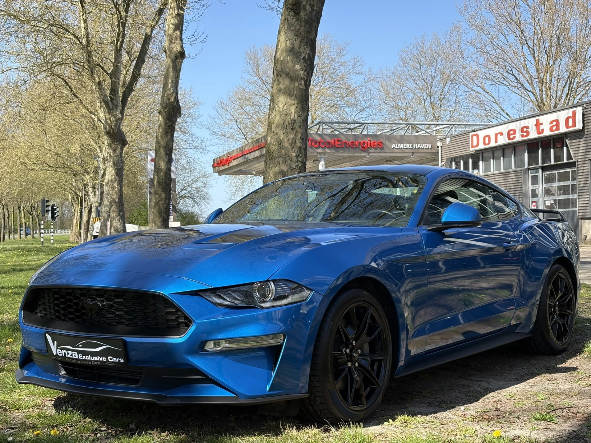 Hoofdafbeelding Ford Mustang