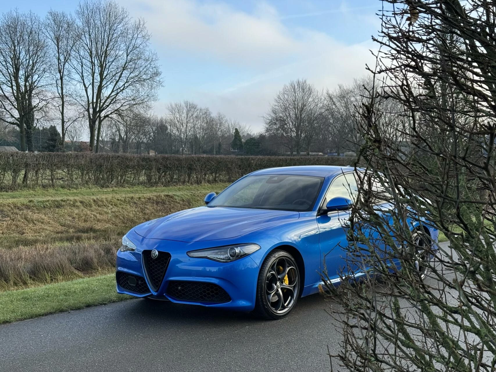 Hoofdafbeelding Alfa Romeo Giulia