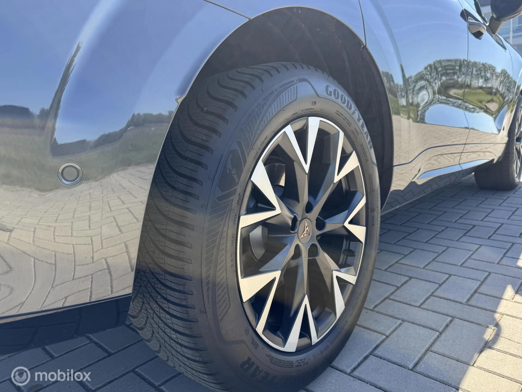 Hoofdafbeelding CUPRA Terramar