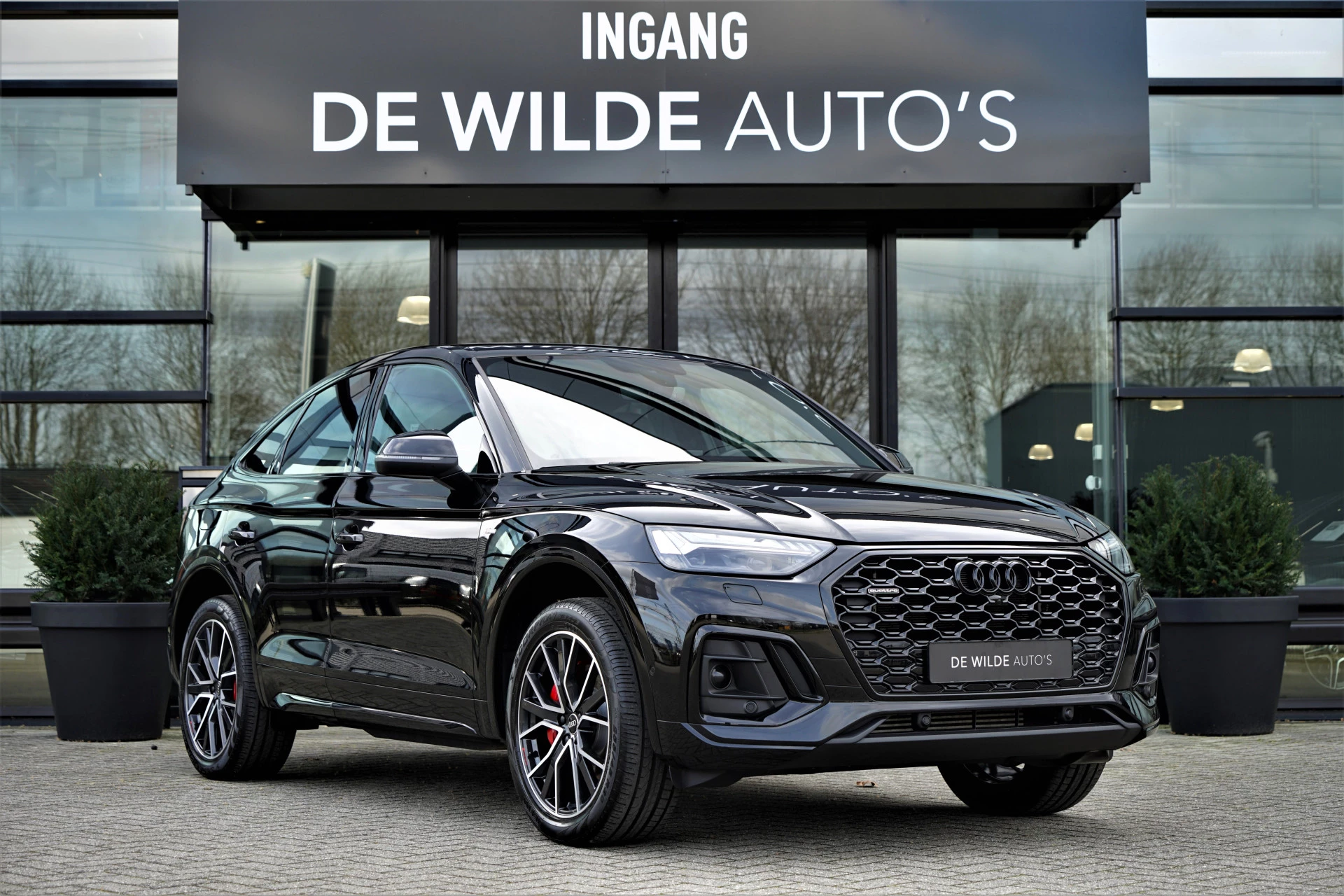 Hoofdafbeelding Audi Q5