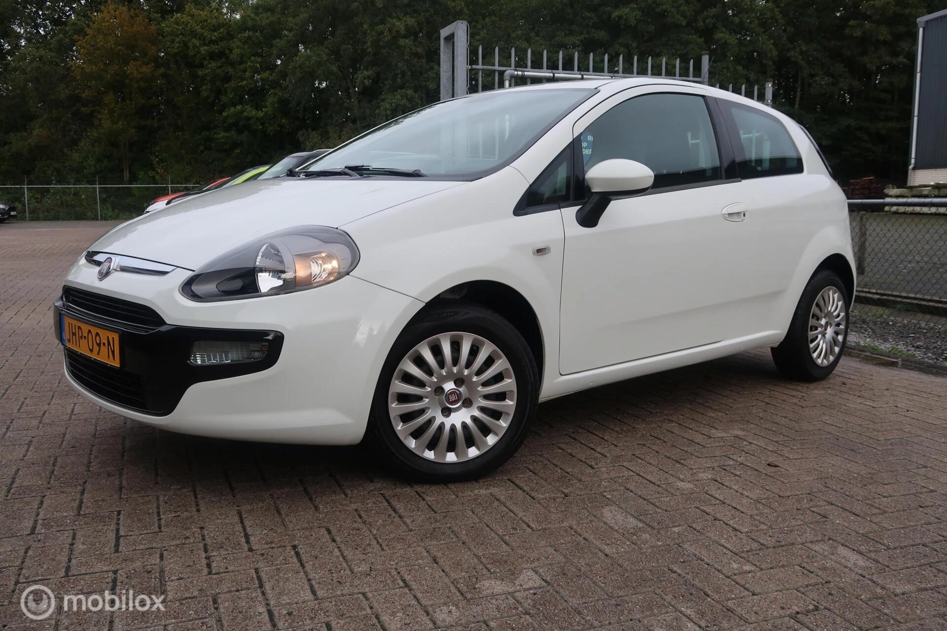 Hoofdafbeelding Fiat Punto