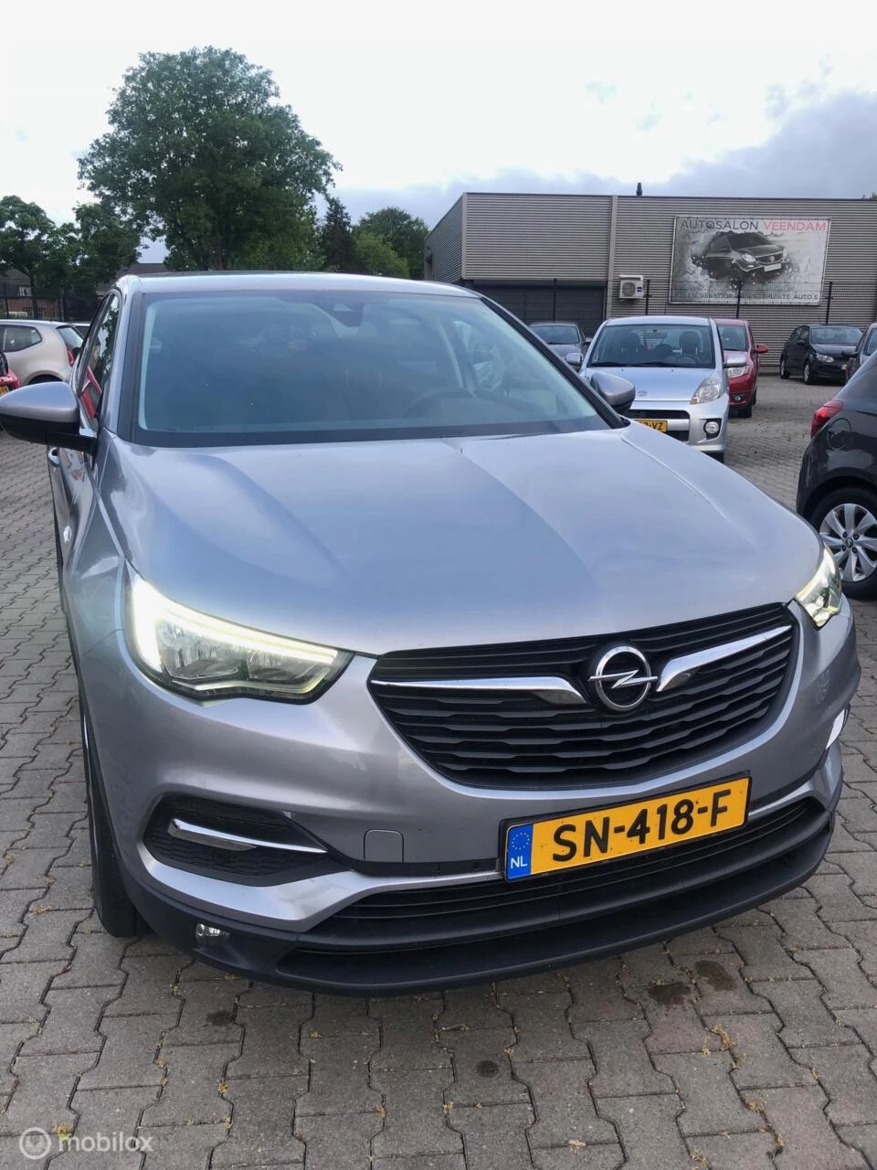 Hoofdafbeelding Opel Grandland X