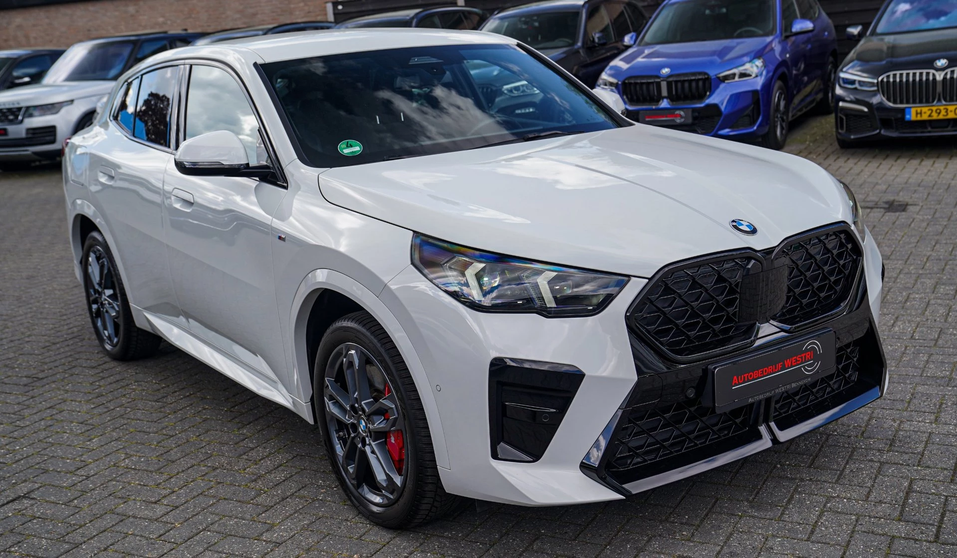 Hoofdafbeelding BMW X2