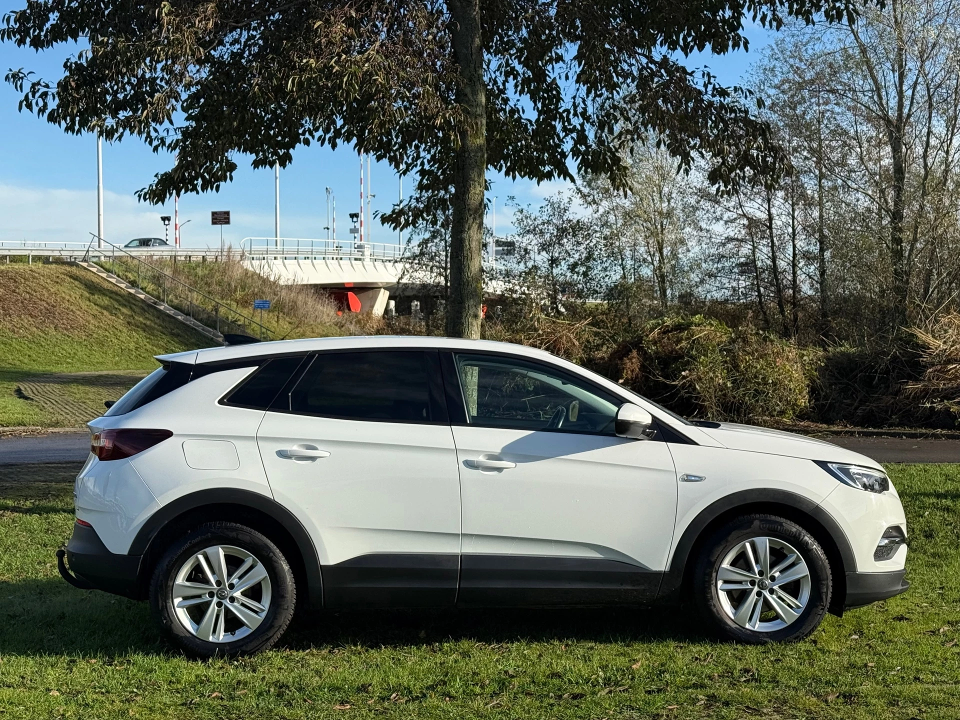Hoofdafbeelding Opel Grandland X