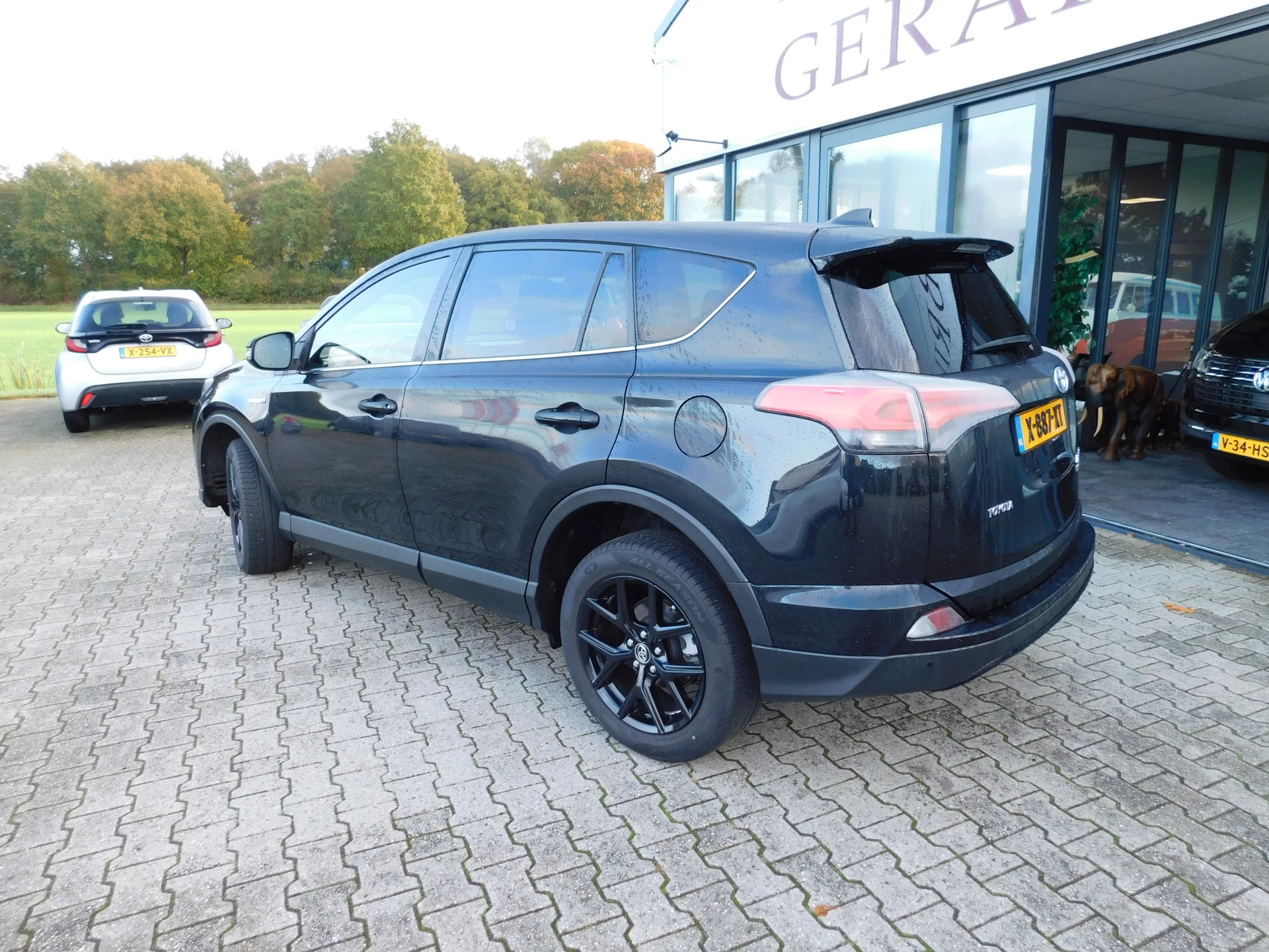 Hoofdafbeelding Toyota RAV4