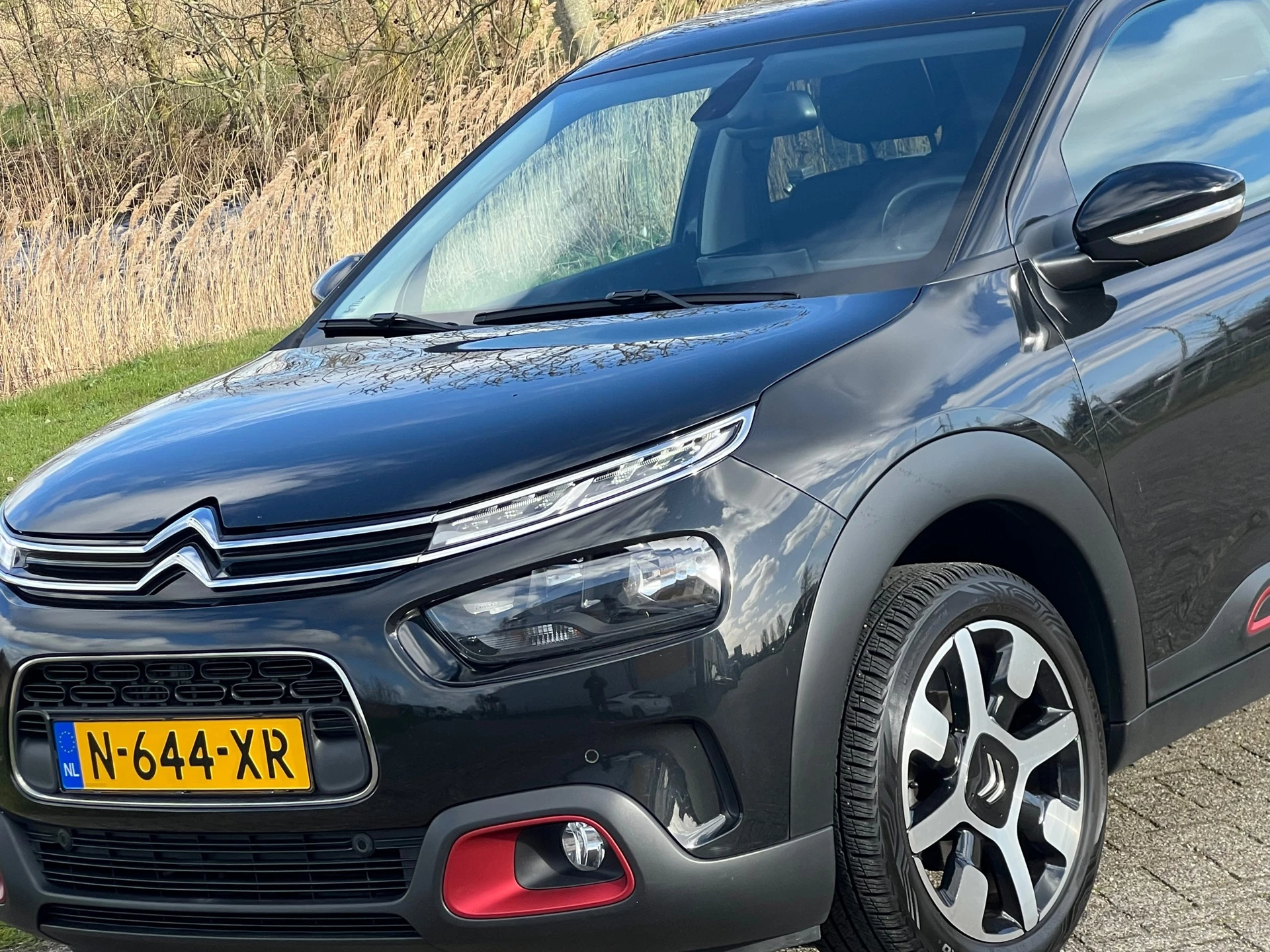 Hoofdafbeelding Citroën C4 Cactus
