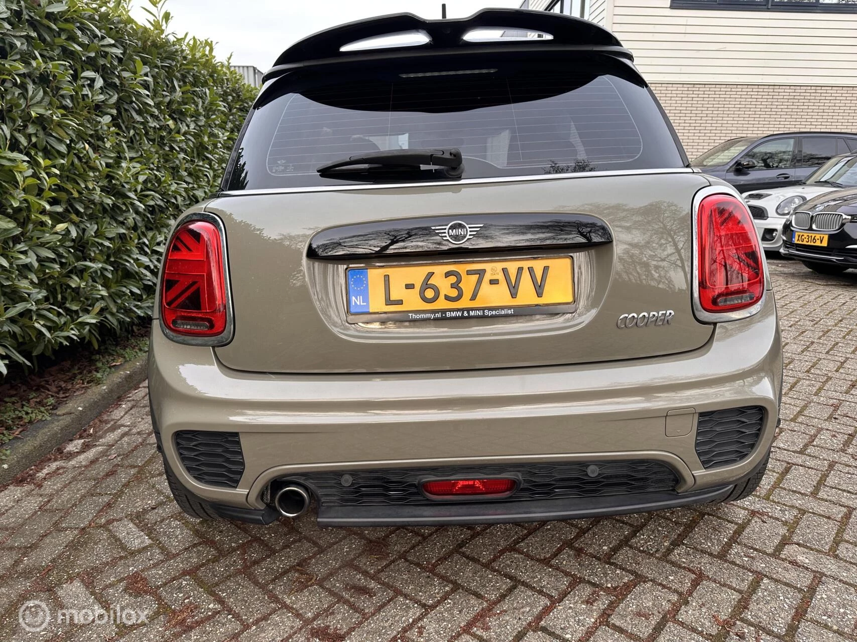 Hoofdafbeelding MINI Cooper