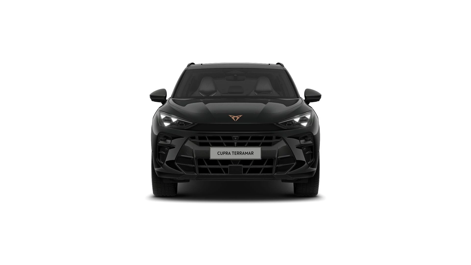 Hoofdafbeelding CUPRA Terramar