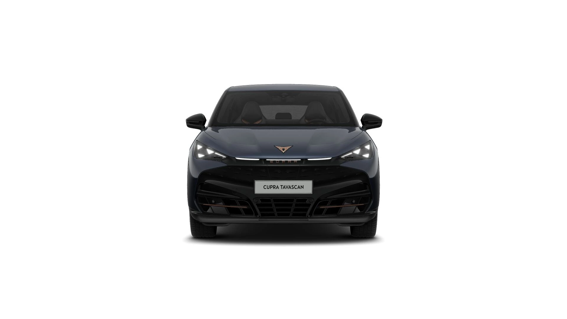 Hoofdafbeelding CUPRA Tavascan