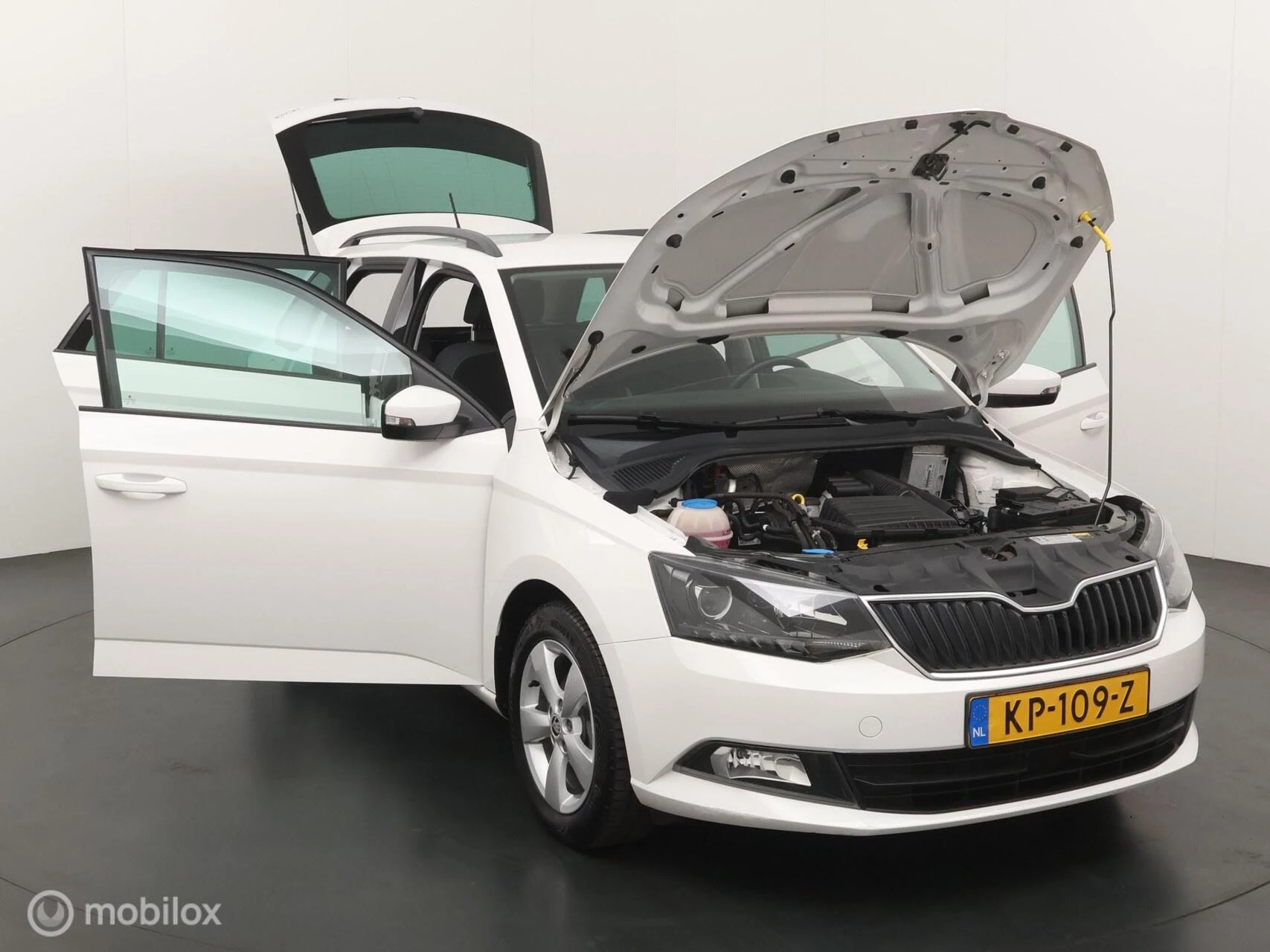 Hoofdafbeelding Škoda Fabia