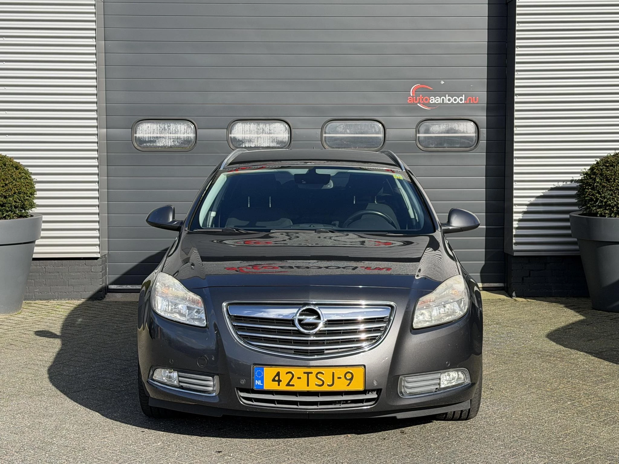 Hoofdafbeelding Opel Insignia