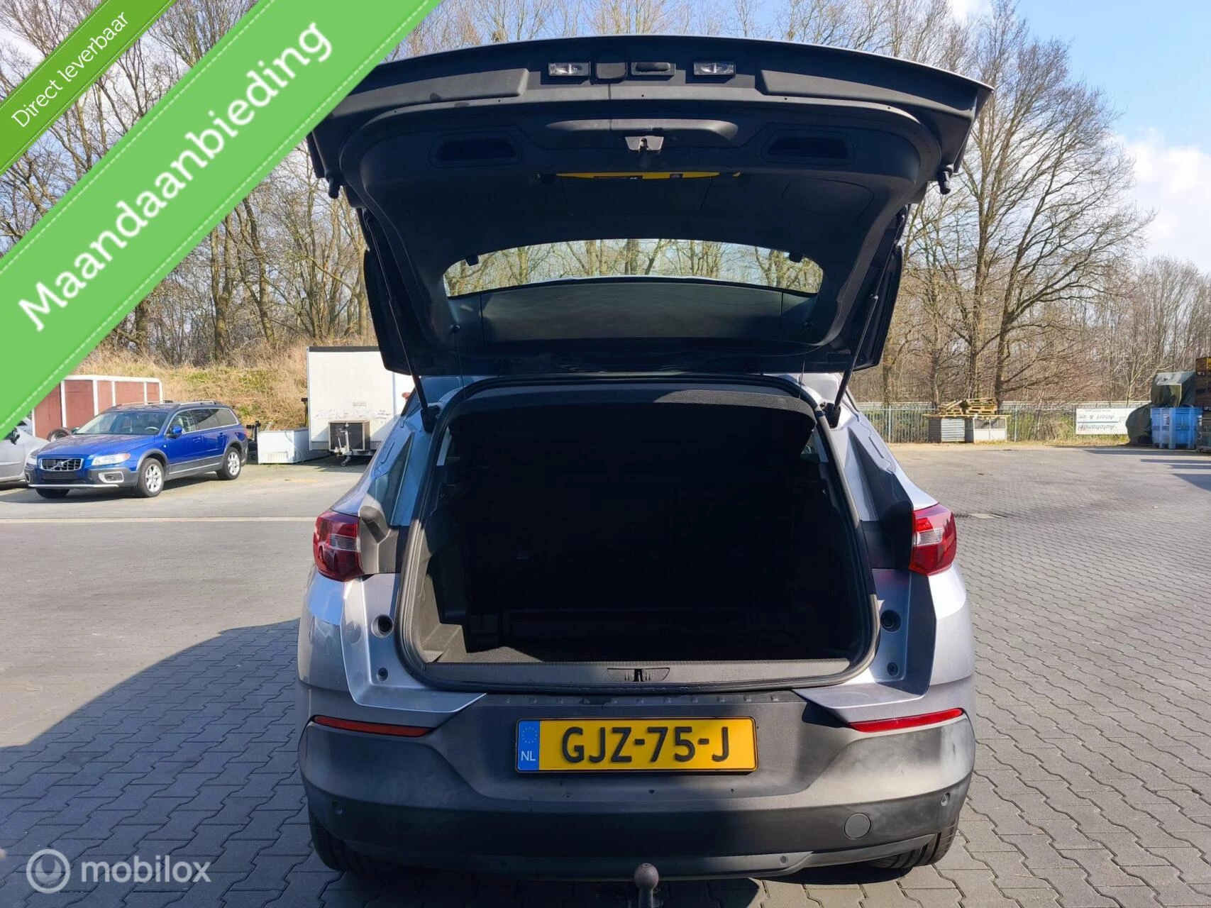 Hoofdafbeelding Opel Grandland X