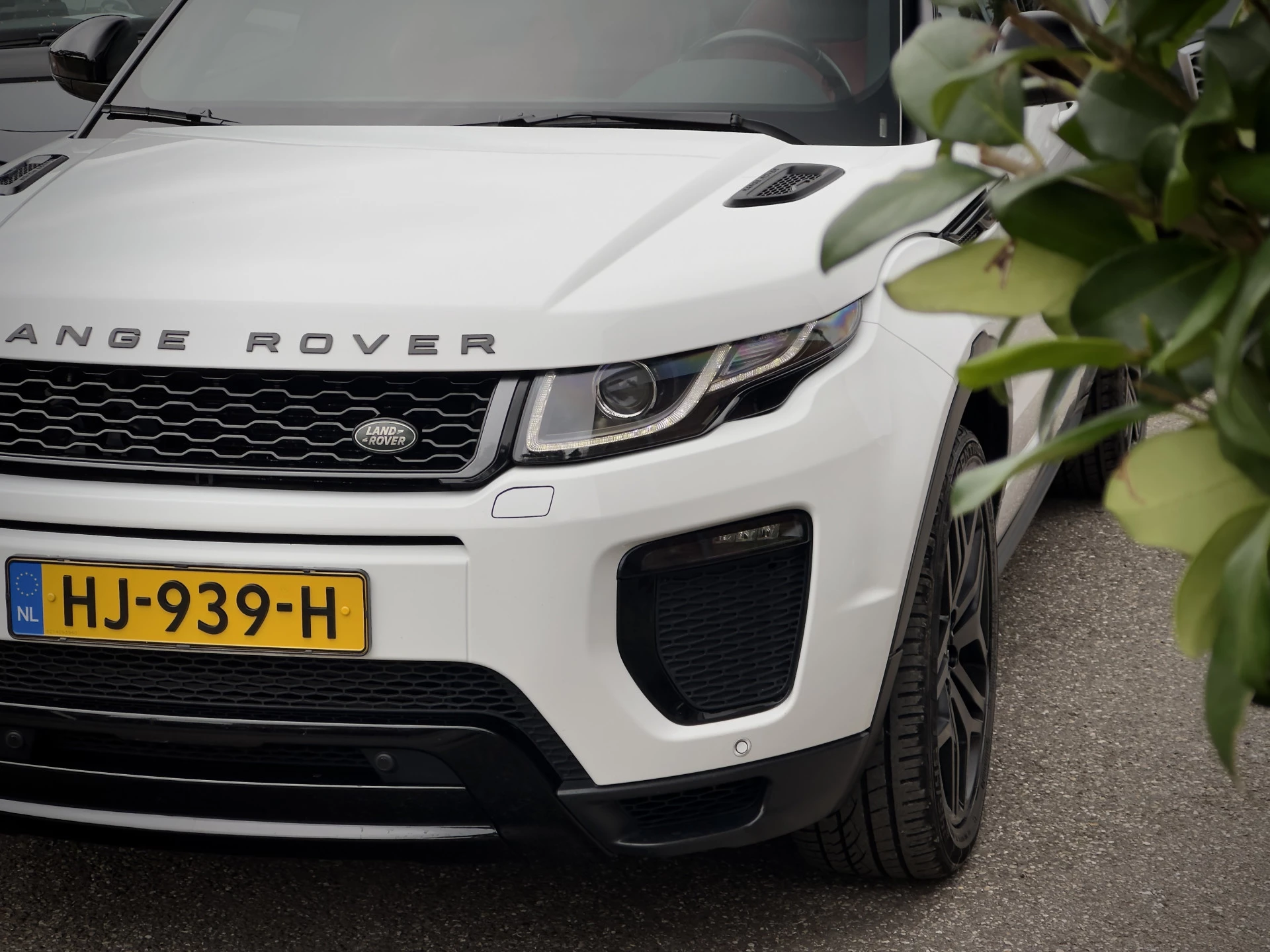 Hoofdafbeelding Land Rover Range Rover Evoque