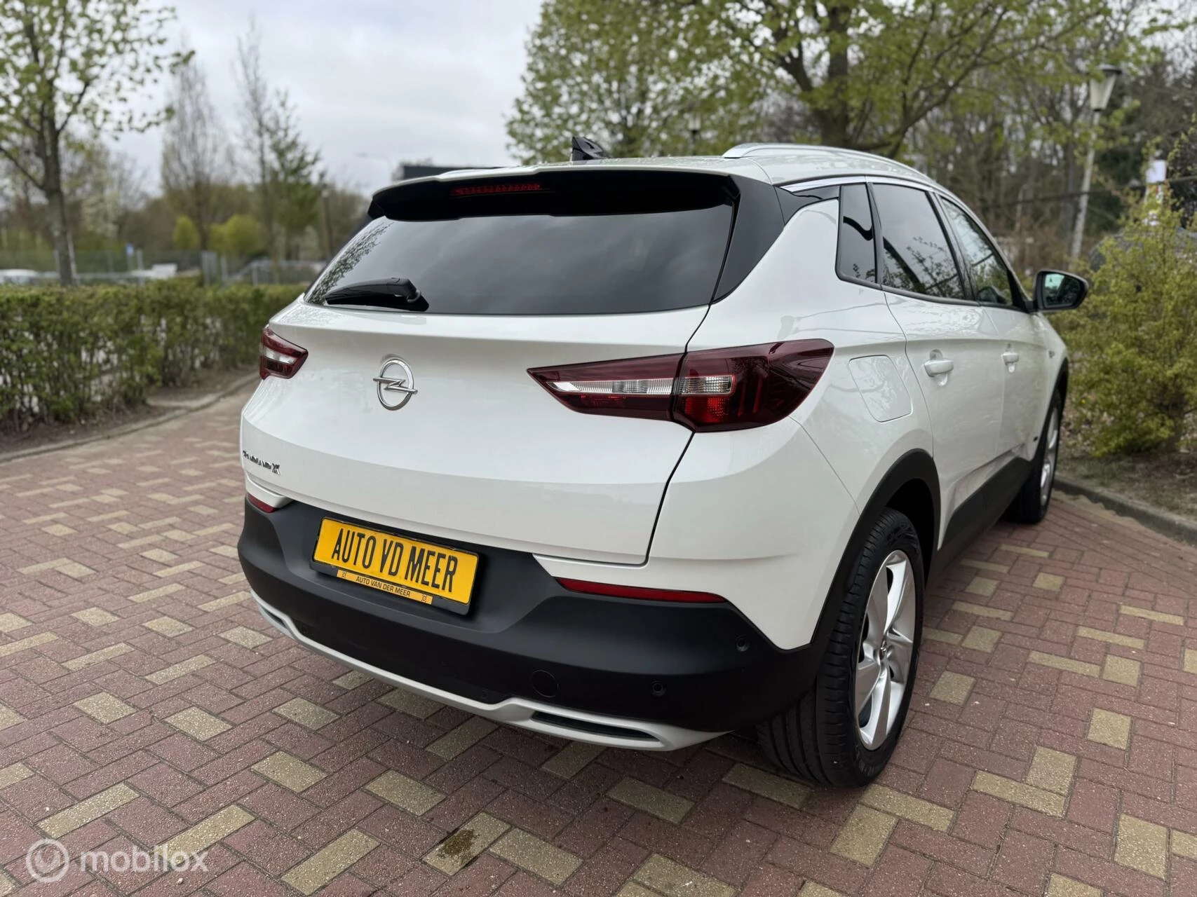 Hoofdafbeelding Opel Grandland X